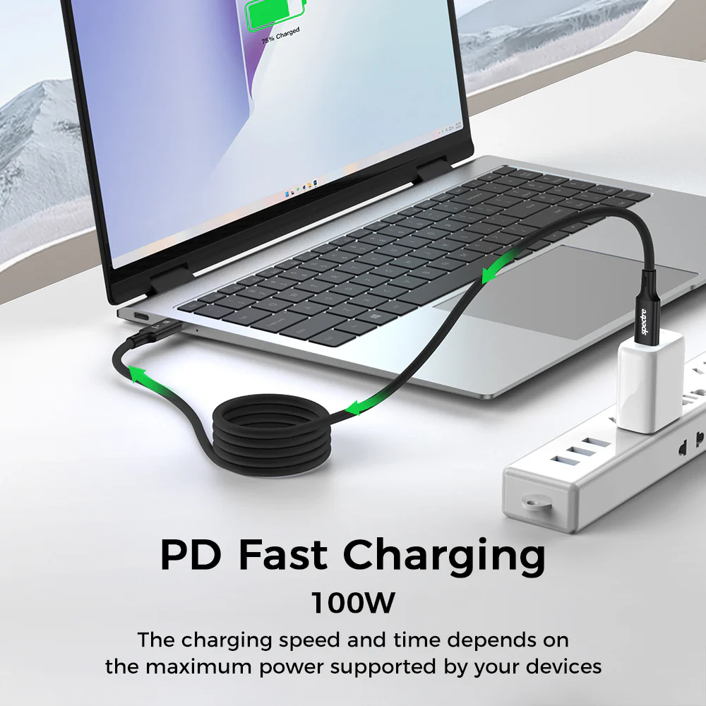 Magnetic Type C 100W Cable