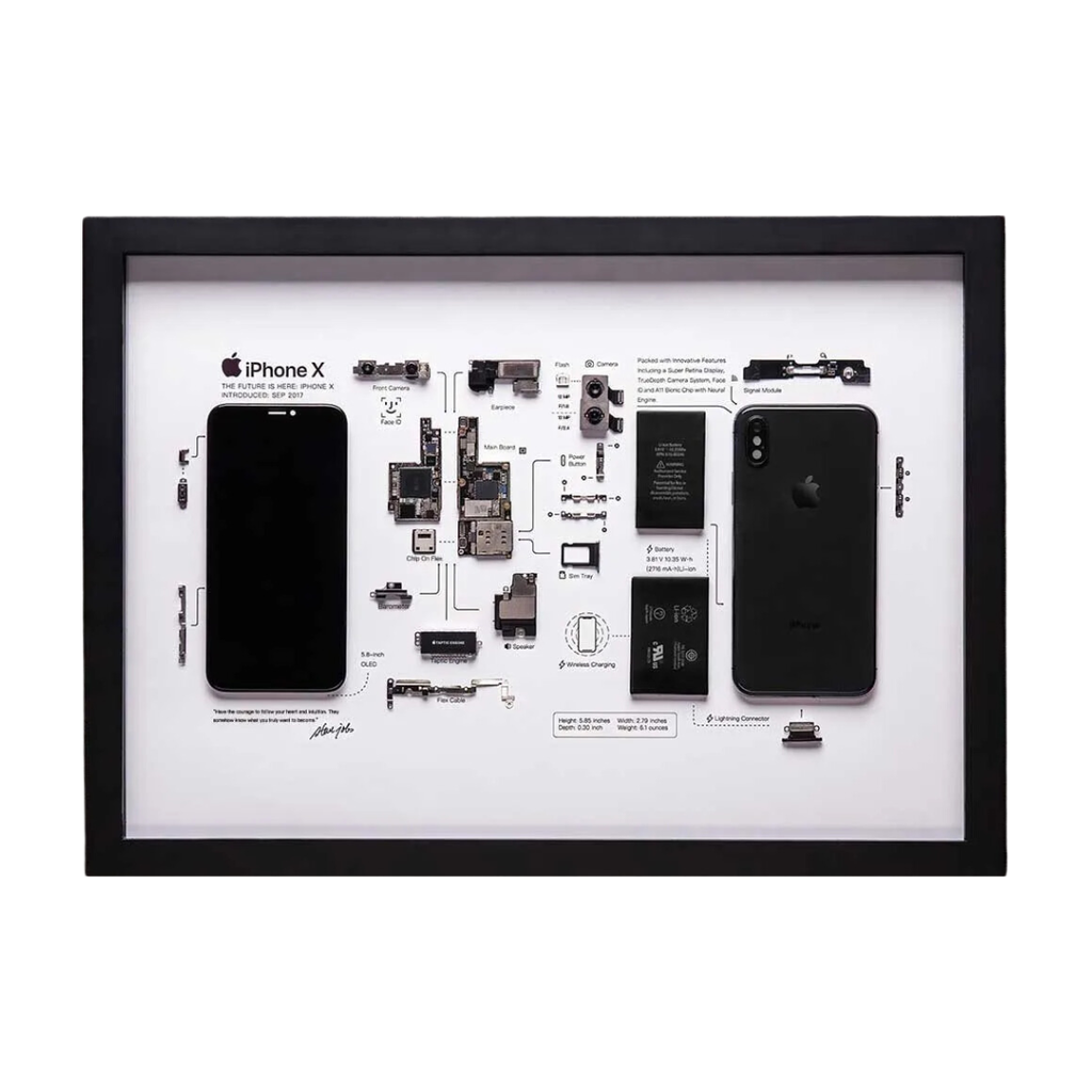 The iPhone X