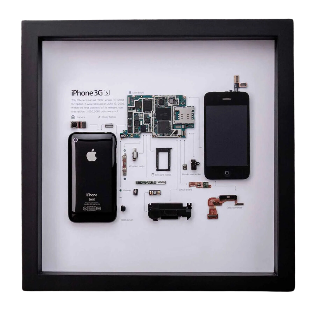 The iPhone 3GS